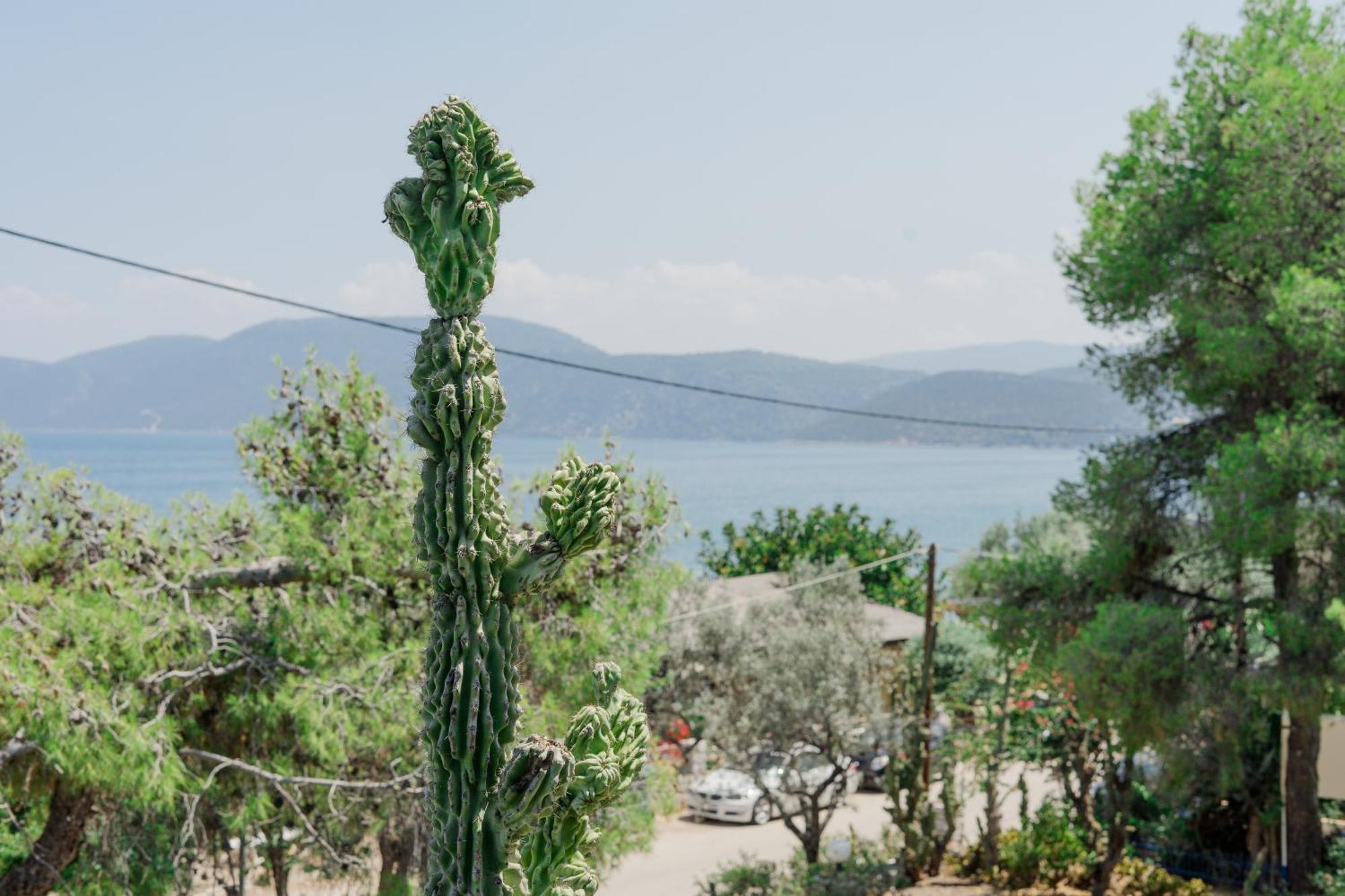 Hotel Korfos - Ξενοδοχείο Κόρφος Renovated エクステリア 写真